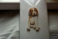 spaniel